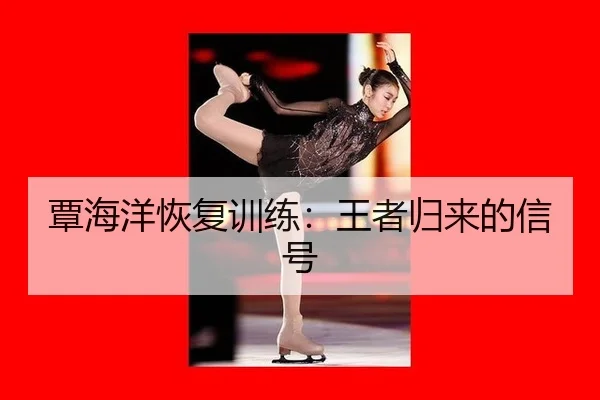 tan-hai-yang-hui-fu-xun-lian-wang-zhe-gui-lai-de-xin-hao-2-758.jpg